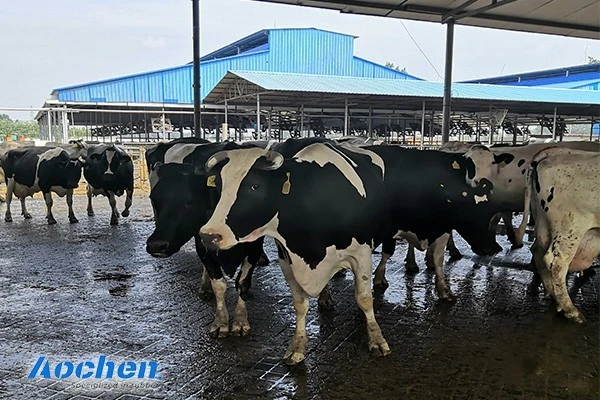 AOCHEN Rubber mat - Rubber mat - Niu Ma rubber mat - Rubber manufacturer - rubber exporter (6)